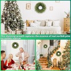 24 inch Norfolk Pine Wreath, Realistic Christmas Wreath for Front Door,Artificial Real Touch Green Wreath Greenery for Door Wall Windows Mantle Outdoor Christmas Decoration
