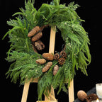24 Inch Real Touch Norfolk Pine Wreaths for Front Door, Soomeir Artificial Christmas Wreath Green Faux Pine Wreath for Wall Windows Mantle Outdoor Christmas Decoration